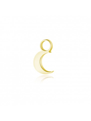 Charm luna oro in acciaio...